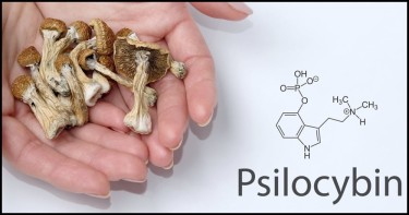 healh insurance covers psychedelics mushrooms